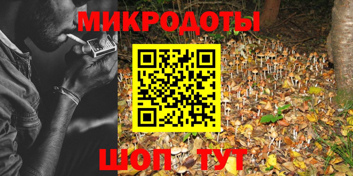 Псилоцибиновые грибы Psilocybine cubensis  где найти   Ачинск  Вход с VPN 