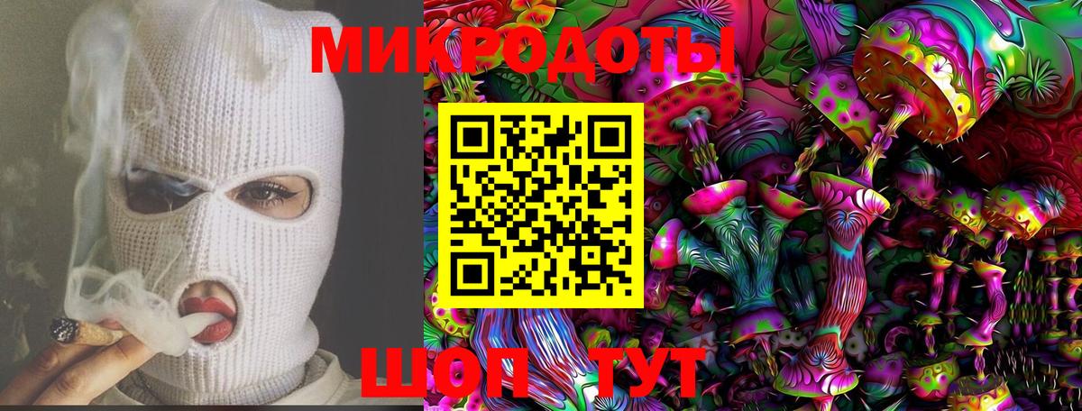 Псилоцибиновые грибы Psilocybe Ачинск